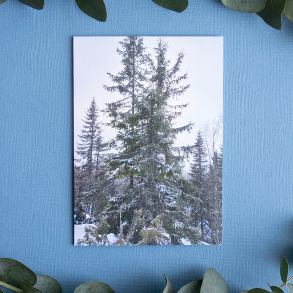Evergreen, Sweden - Blank Landscape Greetings Card & Envelope