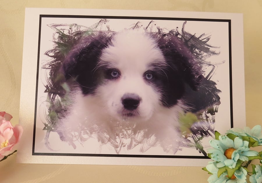 Border Collie Puppy Greeting Card