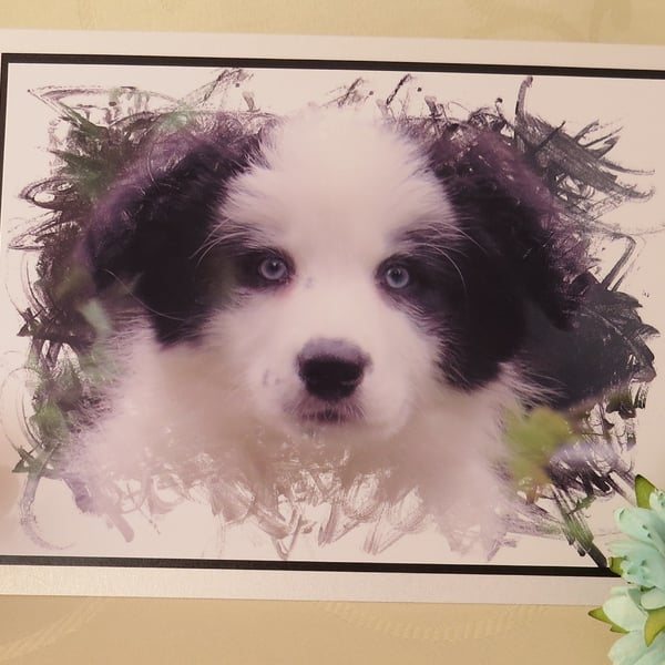 Border Collie Puppy Greeting Card