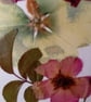 Rare Gladioli. Handmade Pressed Flower picture. A5 size 8x3inx 5.8in - Image 4