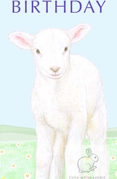 Lamb - Birthday Card