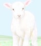 Lamb - Birthday Card - Image 1