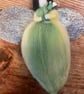 Felt Flower Fairy (574) - Image 1