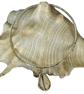 Sterling Silver Bangle With A Cowrie Shell Charm - Image 8