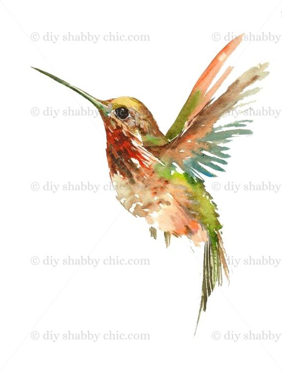 Waterslide Furniture Decal Vintage Image Transfer Shabby Chic Green Hummingbird