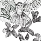 A6 postcard of an owl