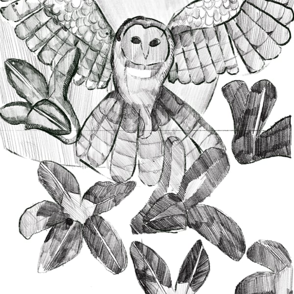 A6 postcard of an owl