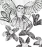 A6 postcard of an owl