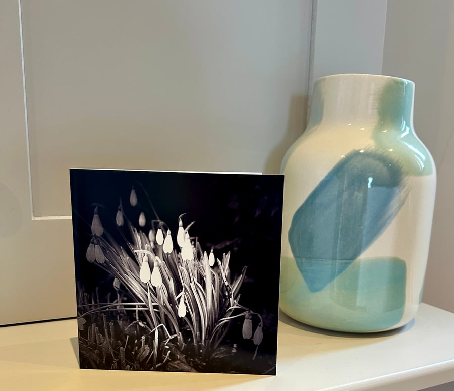 Snowdrops Greetings Card for Flower and Nature Lovers. Sympathy Bereavement 