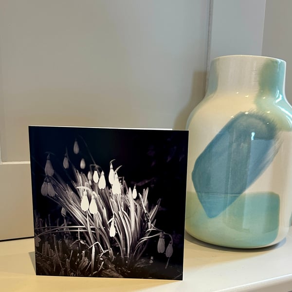 Snowdrops Greetings Card for Flower and Nature Lovers. Sympathy Bereavement 