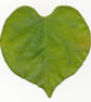 Silk Paper Heart Leaf Tags or Hangings - Image 6