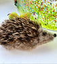Needle Felted Hedgehog Brooch  - Image 1