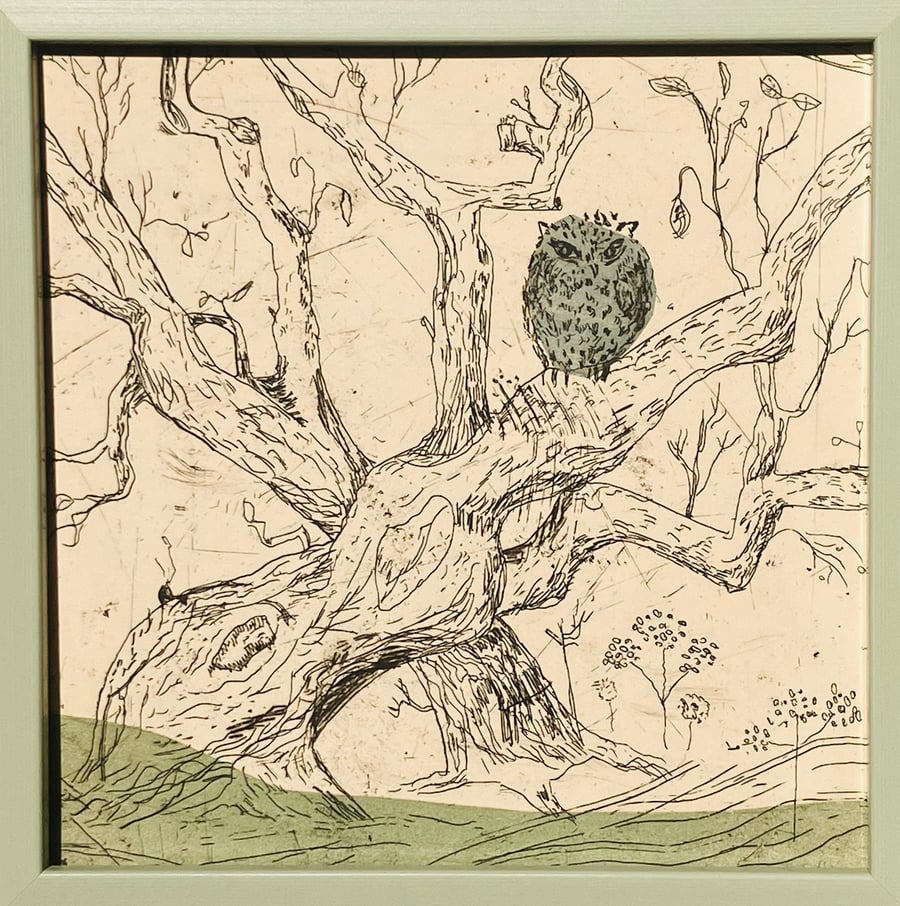 Dartmoor Beech and Tawny Owl