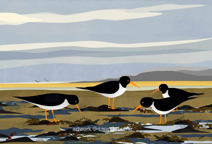Oystercatchers on the shoreline - bird art print - coastal birds