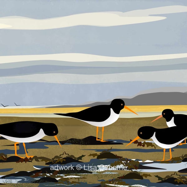 Oystercatchers on the shoreline - bird art print - coastal birds