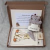 Letterbox gift, Sending Bear Hugs Teddy Bear Hug Postal box, Bear Hugs