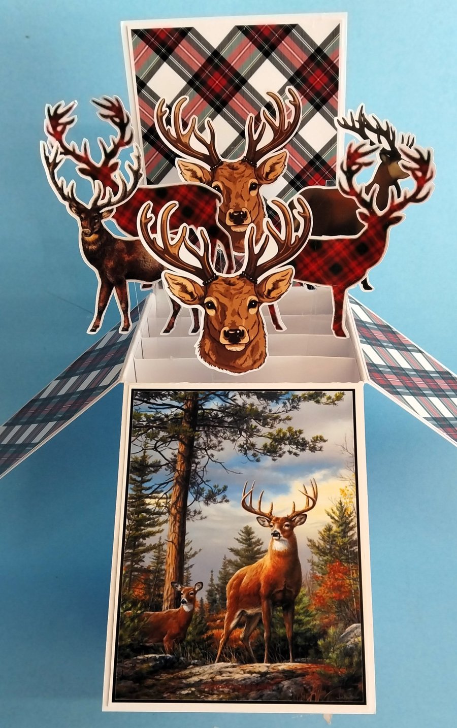 Birthday Card With Stags