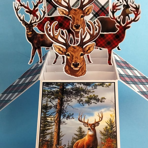 Birthday Card With Stags