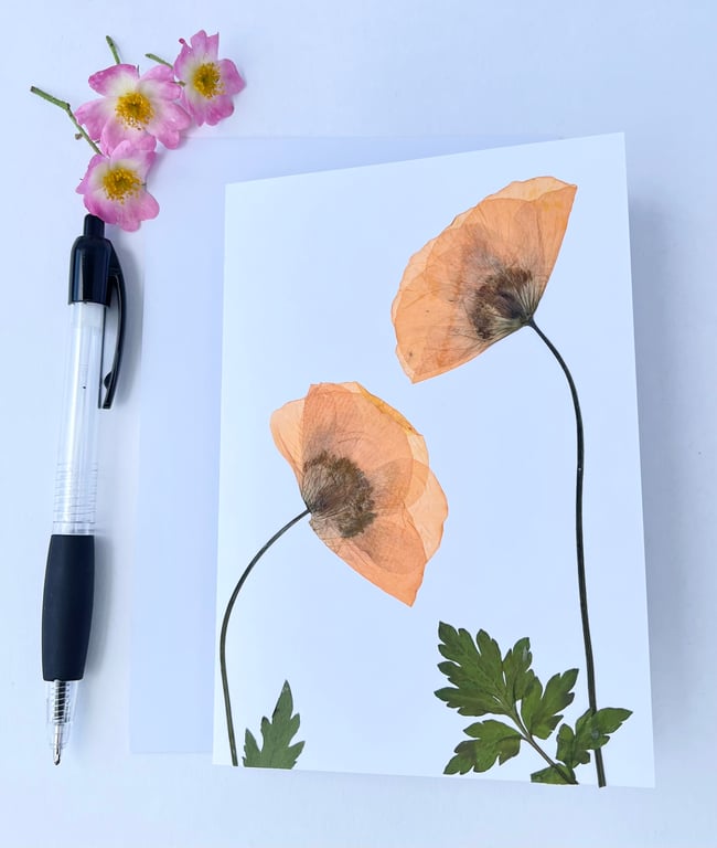 Handmade Real Pressed Flower, Poppy Greeting card