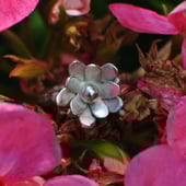 Alexandraflynn Jewellery