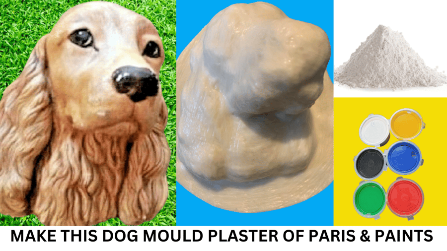 Cocker Spainel Latex Mould Kit With Paints And Plaster Of Paris 
