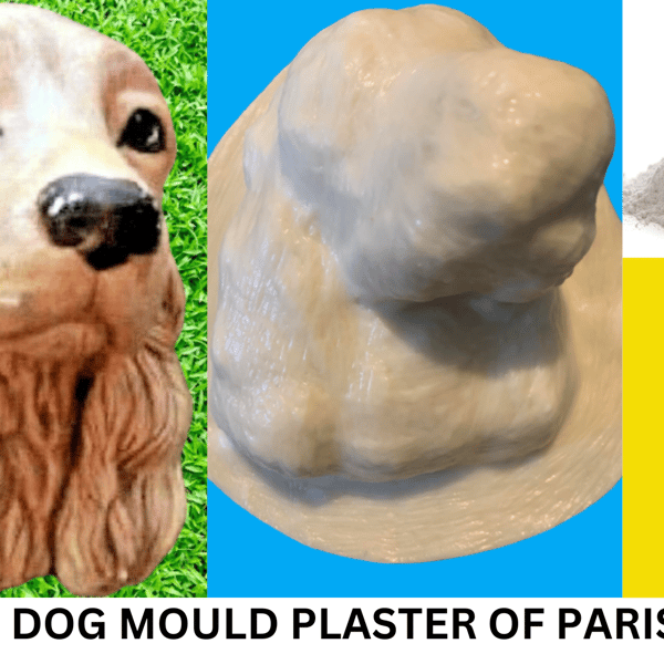 Cocker Spainel Latex Mould Kit With Paints And Plaster Of Paris 