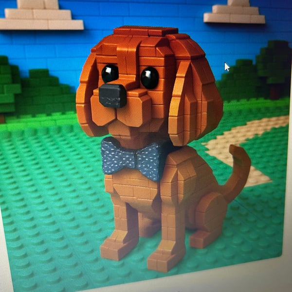 PET PORTRAIT - Custom order