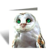 Owl Birthday, Greeting Card, Stunning Blue Eyes
