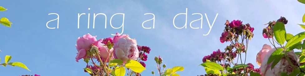 a ring a day