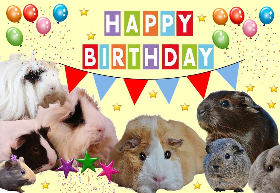 A5 Lots of Guinea Pigs Birthday Card 