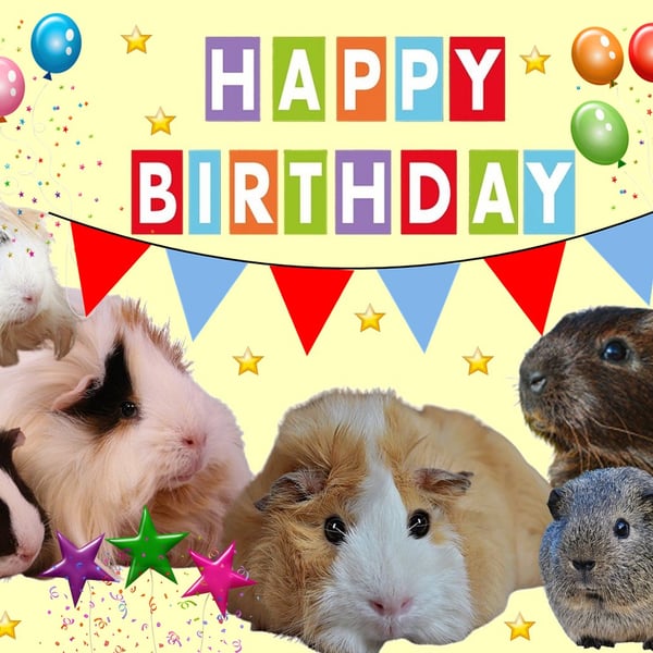 A5 Lots of Guinea Pigs Birthday Card 