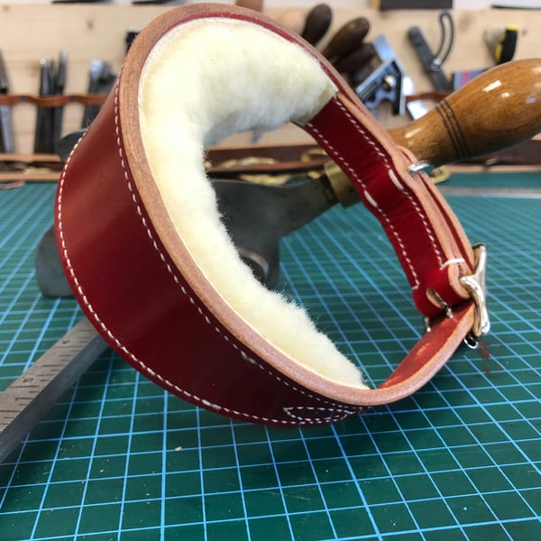 Sheepskin-lined hound collar