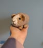 Crochet Guinea Pig, Personalised Pet Teddy, Guinea Pig Gift, Pet Memorial, Pig P - Image 9