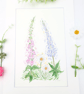 Foxglove, Daisy and Lupin original watercolour flower painting - Image 8