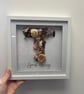 SPECIAL MUMMY. Framed dried flowers.