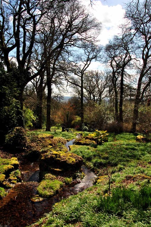Batsford Arboretum Moreton In Marsh Cotswolds Photograph Picture