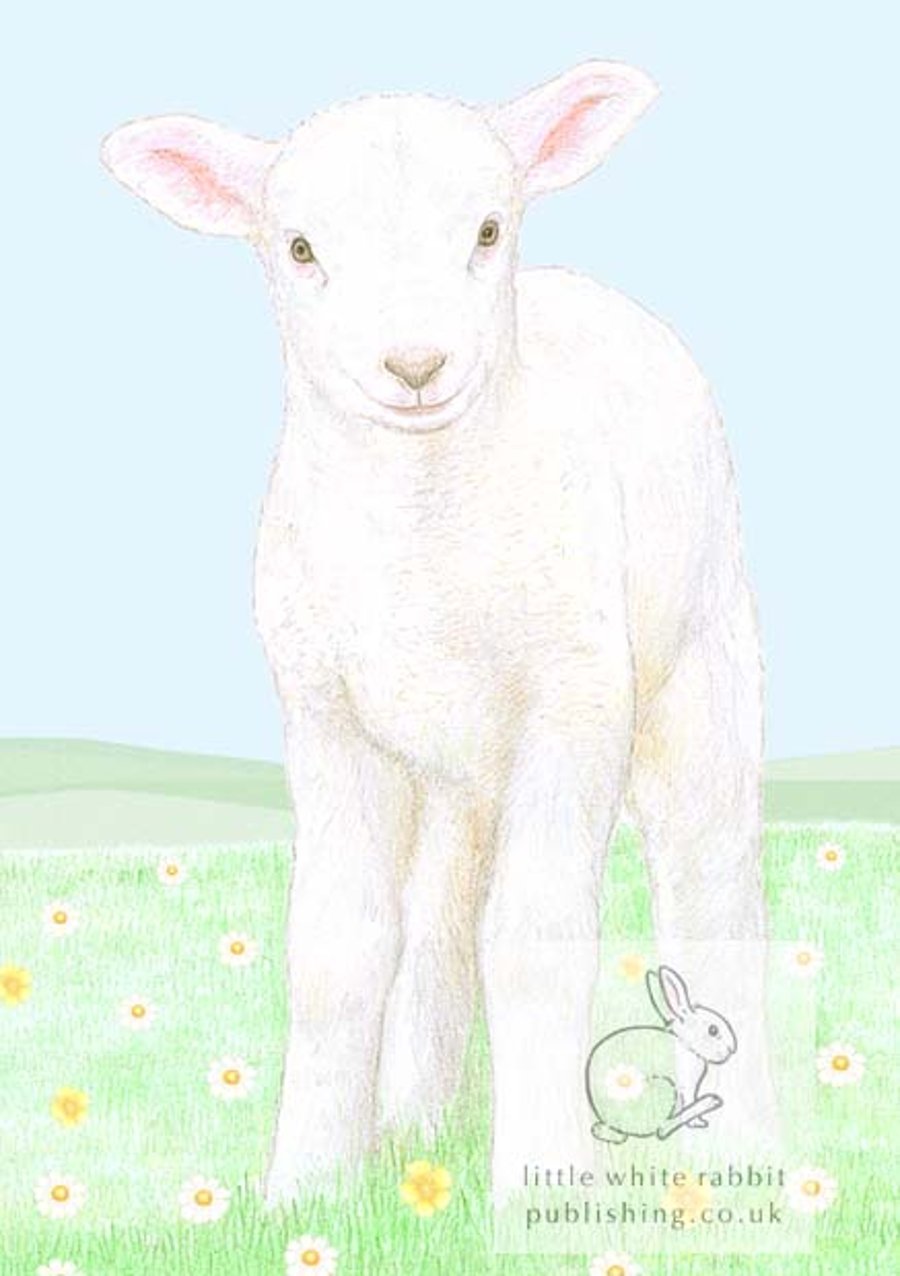 Lamb - Blank Card