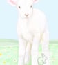 Lamb - Blank Card - Image 1
