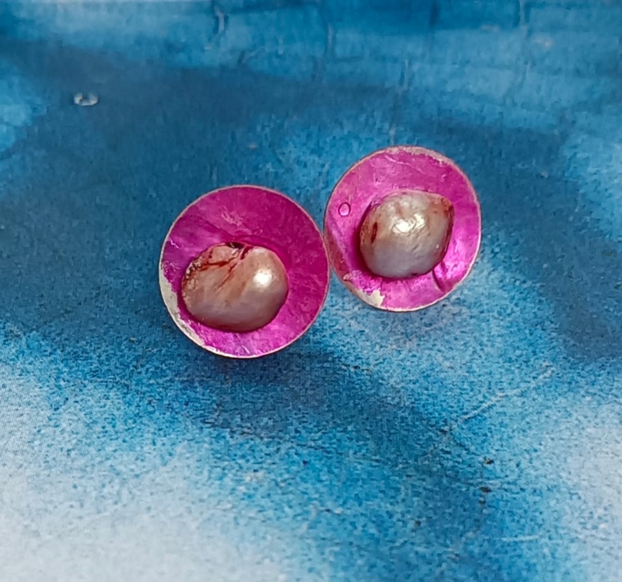 Beautiful Pink Shell Stud Earrings