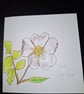 Original Handpainted Greetings Card- Wild Dog Rose 