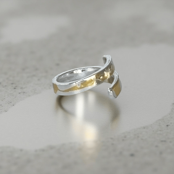 Silver And Gold Wrap Ring