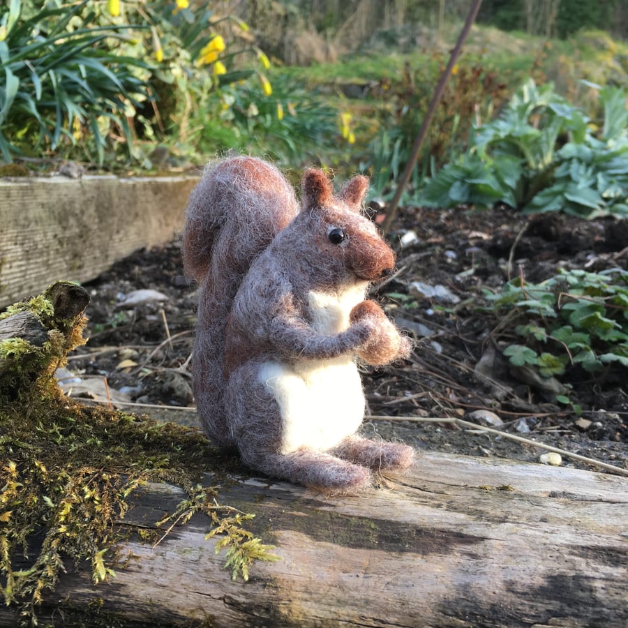  Needle felted model, squirrel, woodland animal sculpture