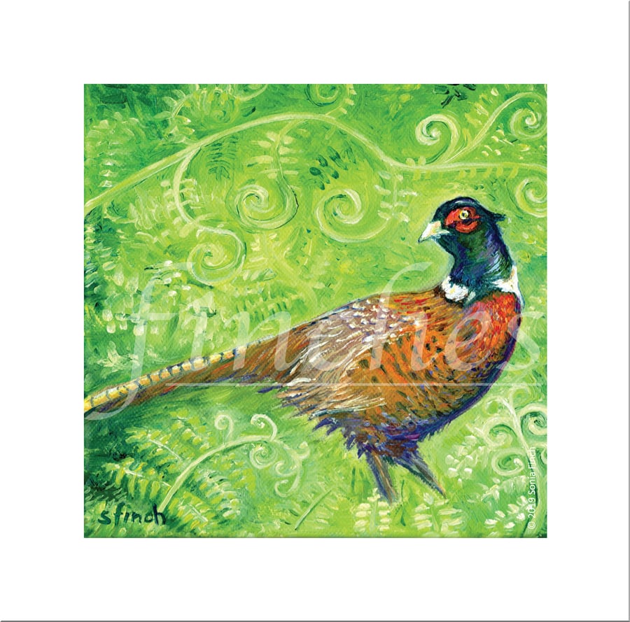 Spirit of Pheasant - Blank Greeting Card with nature spirit totem message