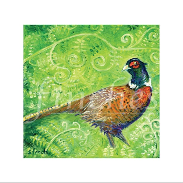 Spirit of Pheasant - Blank Greeting Card with nature spirit totem message