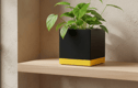 Medium Plant Pots