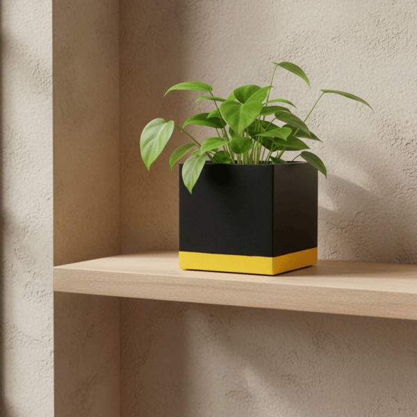 Black yellow square planter 10 cm indoor plant pot gift for plant lovers