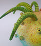 Sea Anemone  - Image 4