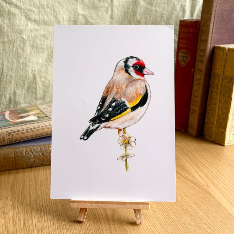 Goldfinch - Art Print A5 or A4