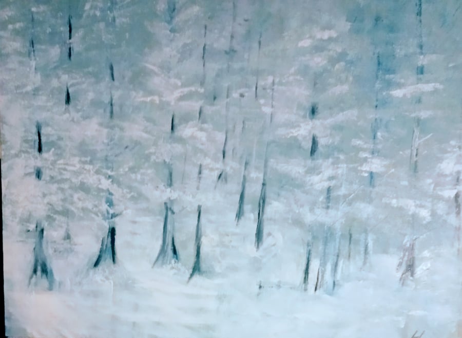 Derwent Forest in Winter