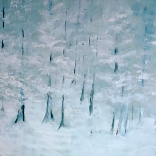 Derwent Forest in Winter